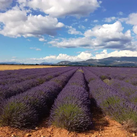 Les Rosiers * Le Chaffaut-Saint-Jurson
