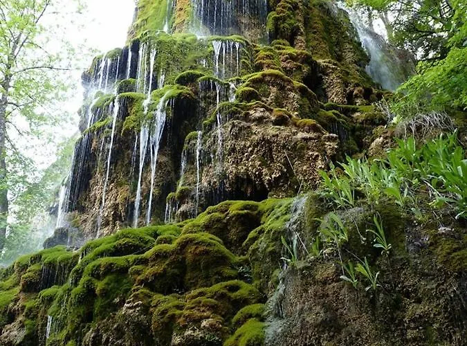 Lägenhet Les Rosiers Le Chaffaut-Saint-Jurson